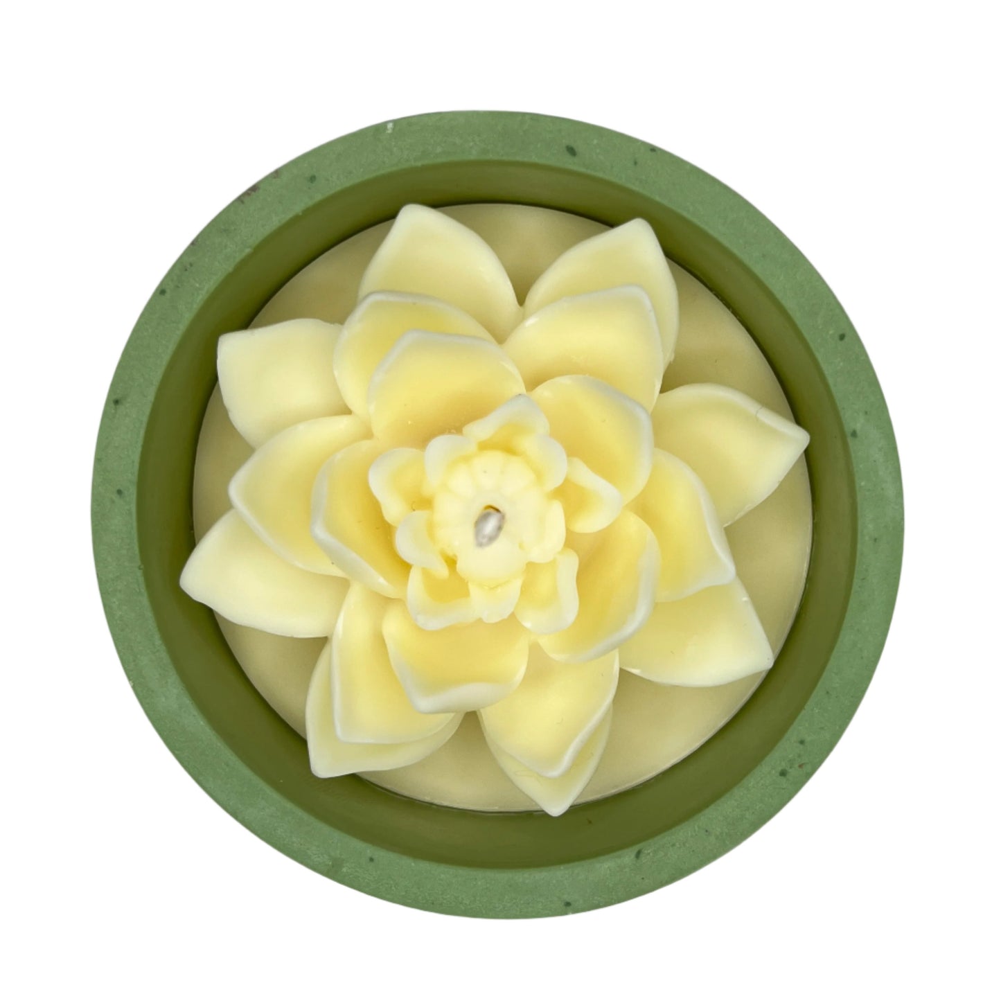 Frozen Grove Artisan Bloom Candle – 10oz Handcrafted Elegance